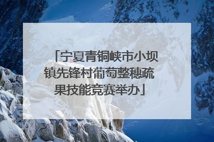 宁夏青铜峡市小坝镇先锋村葡萄整穗疏果技能竞赛举办